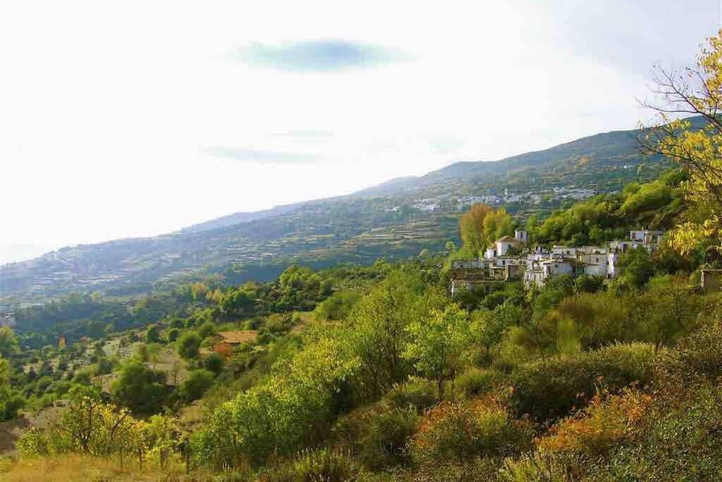 Atalbeitar Casa Carmela, Rural House With Spectacular Views, In An Exquisite Areaヴィラ エクステリア 写真