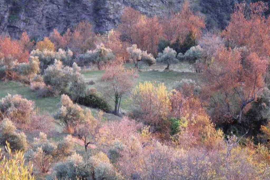 Atalbeitar Casa Carmela, Rural House With Spectacular Views, In An Exquisite Areaヴィラ エクステリア 写真