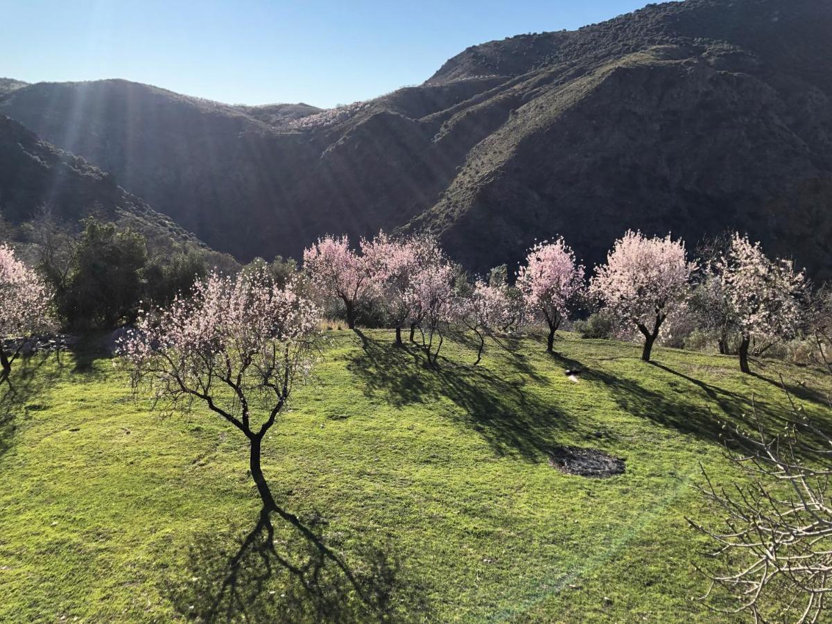 Atalbeitar Casa Carmela, Rural House With Spectacular Views, In An Exquisite Areaヴィラ エクステリア 写真