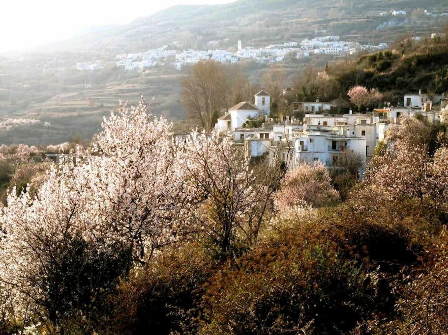 Atalbeitar Casa Carmela, Rural House With Spectacular Views, In An Exquisite Areaヴィラ エクステリア 写真