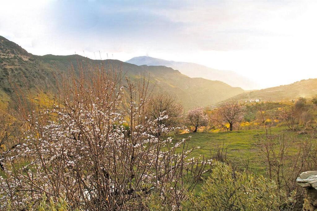 Atalbeitar Casa Carmela, Rural House With Spectacular Views, In An Exquisite Areaヴィラ エクステリア 写真
