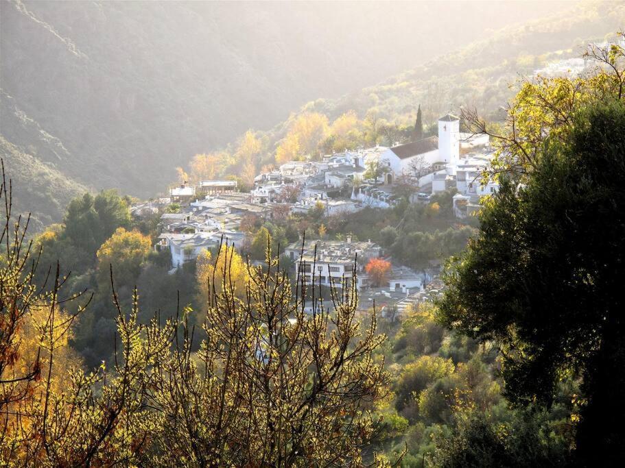Atalbeitar Casa Carmela, Rural House With Spectacular Views, In An Exquisite Areaヴィラ エクステリア 写真