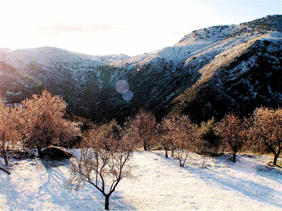 Atalbeitar Casa Carmela, Rural House With Spectacular Views, In An Exquisite Areaヴィラ エクステリア 写真