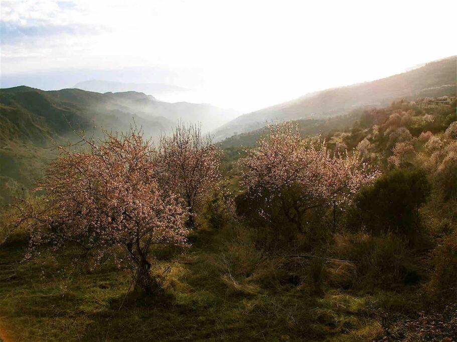 Atalbeitar Casa Carmela, Rural House With Spectacular Views, In An Exquisite Areaヴィラ エクステリア 写真