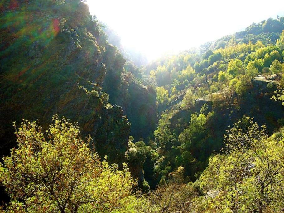 Atalbeitar Casa Carmela, Rural House With Spectacular Views, In An Exquisite Areaヴィラ エクステリア 写真