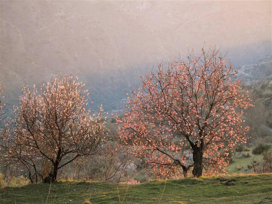 Atalbeitar Casa Carmela, Rural House With Spectacular Views, In An Exquisite Areaヴィラ エクステリア 写真
