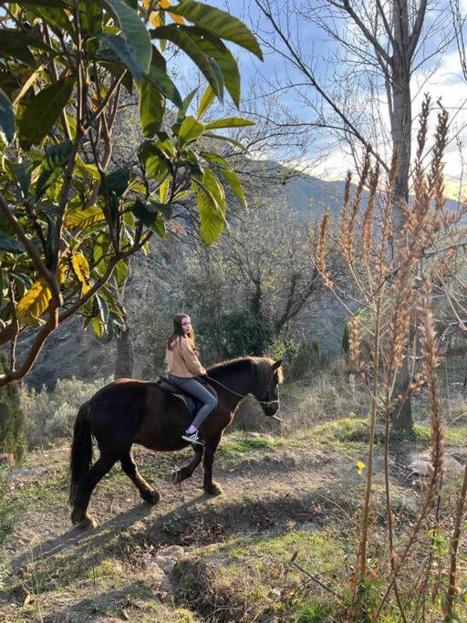 Atalbeitar Casa Carmela, Rural House With Spectacular Views, In An Exquisite Areaヴィラ エクステリア 写真